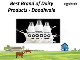 Best Online Milk or Dairy Products delivery Services in Delhi