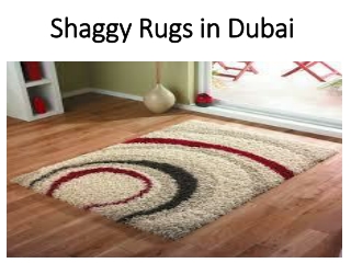 Shaggy Rugs in Dubai