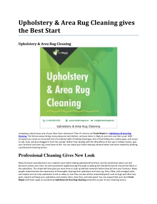 Upholstery & Area Rug Cleaning Professionals are Waiting for You