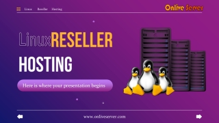 Get Fully Advanced Linux Reseller Hosting with Higher Security