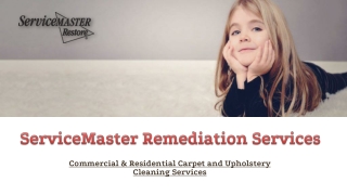 Carpet Cleaning Services With Professionals In Pompano Beach