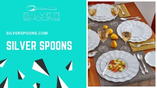 Elegant Plastic Plates Wholesale