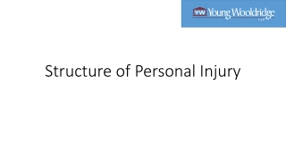 Structure of Personal Injury -converted