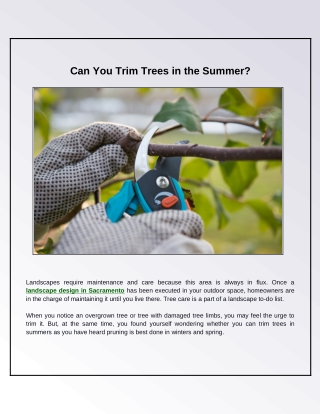 Is It Beneficial to Trim Trees in the Summer?