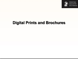 Digital Prints and Brochures