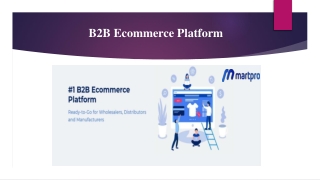 B2B Ecommerce Platform