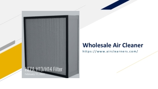 Wholesale Air Cleaner