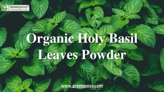 Organic Holy Basil Leaves Powder