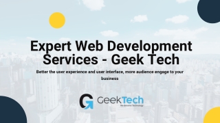 Expert Web Development Services - Geek Tech