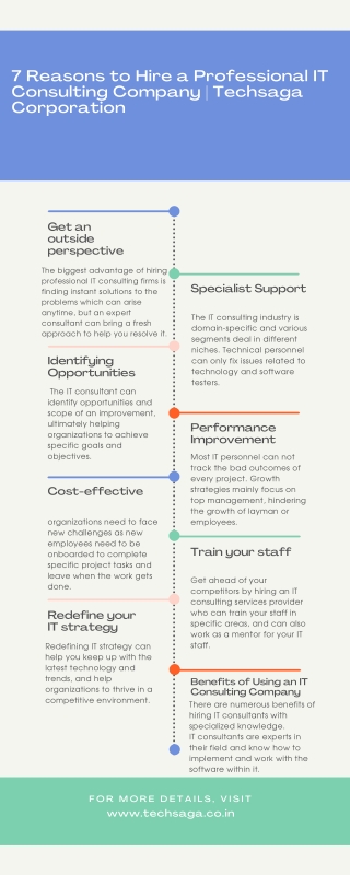 7 Reasons to Hire a Professional IT Consulting Company | Techsaga Corporation