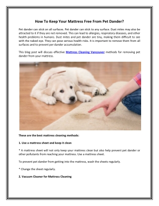 How To Keep Your Mattress Free From Pet Dander-converted