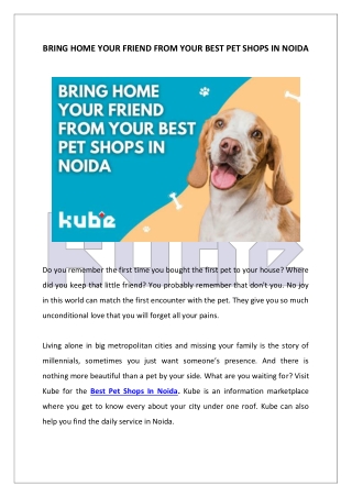 Bring Home Your Friend From Your Best Pet Shops In Noida