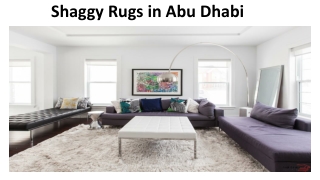 Shaggy Rugs in Abu Dhabi