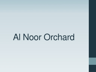 Al Noor Orchard Payment Plan - Location