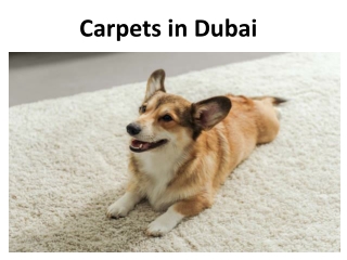 Carpets in Dubai