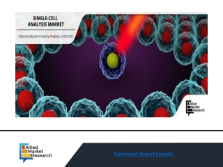 Single Cell Analysis Market