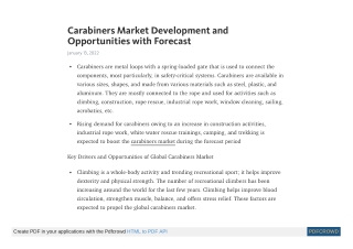 Carabiners Market - Competitive Insight and Forecast by 2031
