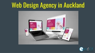 Web Design Agency in Auckland