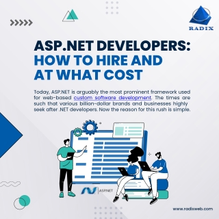 ASP NET Developers : How to hire and at what cost