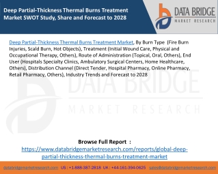 Deep Partial-Thickness Thermal Burns Treatment Market SWOT Study, Share and Forecast to 2028