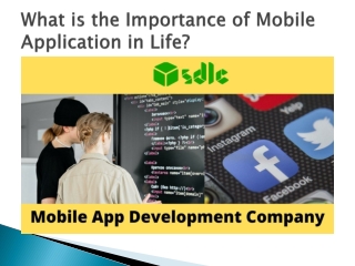 What is the Importance of Mobile Application in Life?