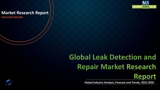 Leak Detection and Repair Market Set to Witness Explosive Growth by 2030