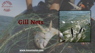 Best Gill Net for fish catching at Texas Tastes