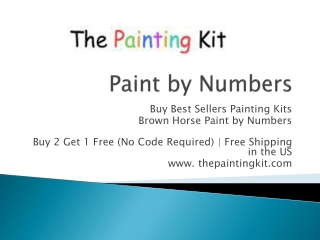 Brown Horse Paint by Numbers