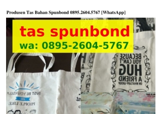 Produsen Tas Bahan Spunbond O895~2ϬOㄐ~5ᜪϬᜪ(WA)