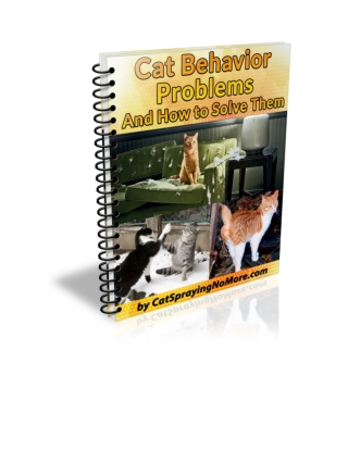 Cat Spraying No More
