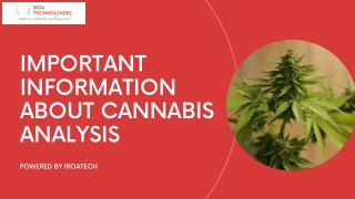 Important Information About Cannabis Analysis