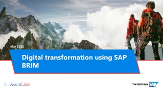 Digital transformation using SAP BRIM