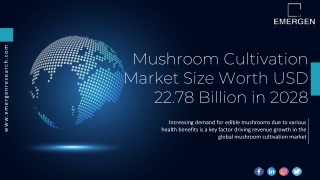 Mushroom Cultivation Market