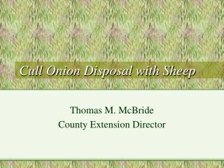 Cull Onion Disposal with Sheep