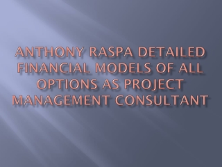 Anthony Raspa Detailed Financial Models of All Options as Project Management Consultant