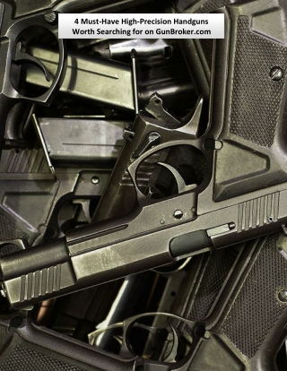 4 Must-Have High-Precision Handguns Worth Searching for on GunBroker.com