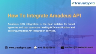 How To Integrate Amadeus API