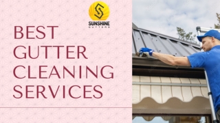 Best Gutter Cleaning Services