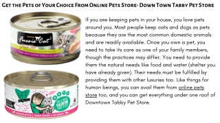 Get the Pets of Your Choice From Online Pets Store- Down Town Tabby Pet Store