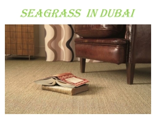 Seagrass in Dubai