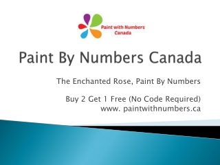 The Enchanted Rose, Paint By Numbers