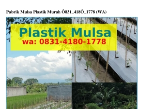 Pabrik Mulsa Plastik Murah O8ᣮ1–Կ18O–1ᜪᜪ8{WA}