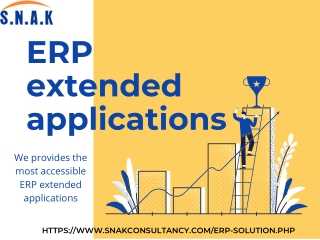 We provides the most accessible ERP extended applications - SCS