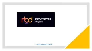 Website Designing Company In India - Noseberry Digitals