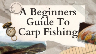 A Beginners Guide To Carp Fishing