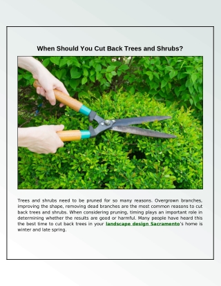 When Is the Best Time to Trim Trees and Bushes?