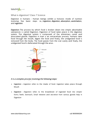 What is digestion class 7 science