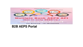 B2B AEPS Portal