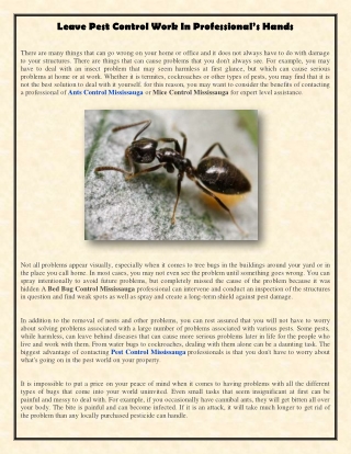 Leave Pest Control Work In Professional’s Hands