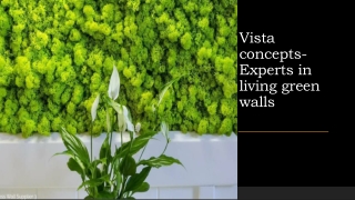 Vista concepts-Experts in living green wall